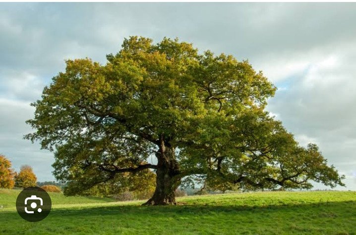 Suresh Samrat Suresh Samrat